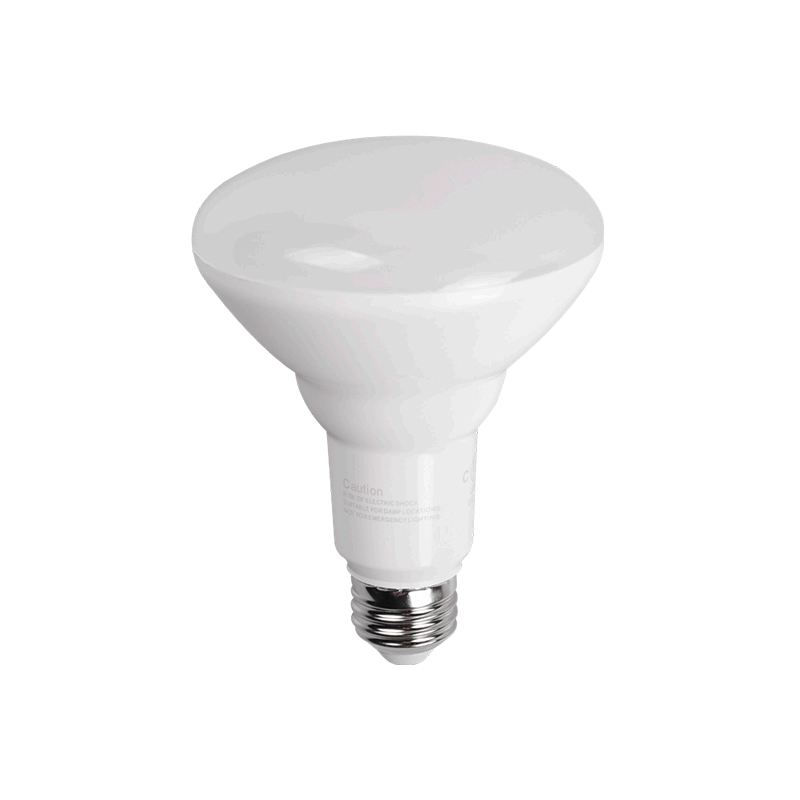 LED Bulb BR30 at PAR38 LED Bulb BR30 at PAR38