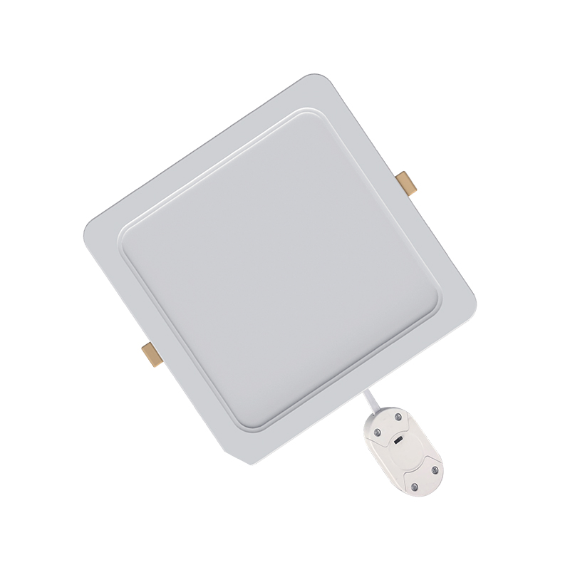 Pinangunahan ang DOB Backlit Pinangunahan ang DOB Backlit