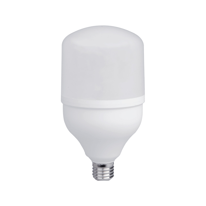T Series LED SMD Bulbs T Series LED SMD Bulbs