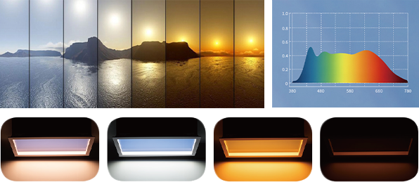 Xin Guang Yuan (New Lights) Lighting Technology Co, Ltd.