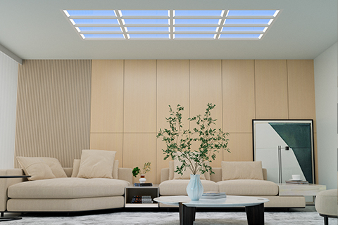 Xin Guang Yuan (New Lights) Lighting Technology Co, Ltd.